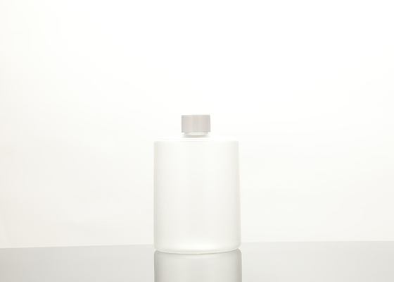 bouteilles 500ml vides en plastique avec 16oz à bouchon vissable pour la lotion, shampooing